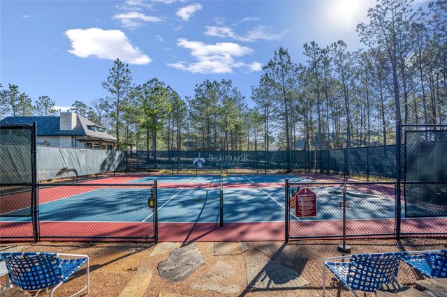 TBD6 Lily Bean Road, Montgomery, TX 77316