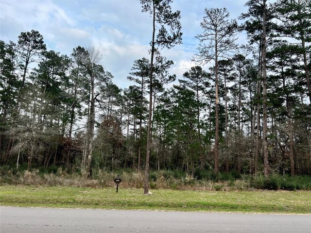 TBD6 Lily Bean Road, Montgomery, TX 77316