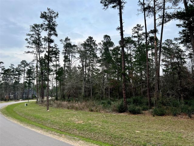 TBD6 Lily Bean Road, Montgomery, TX 77316