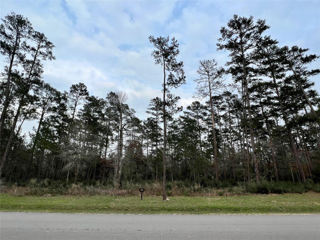 TBD6 Lily Bean Road, Montgomery, TX 77316