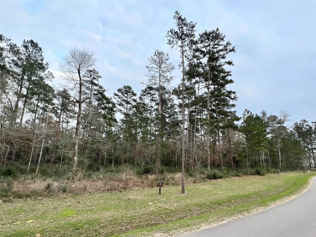 TBD6 Lily Bean Road, Montgomery, TX 77316
