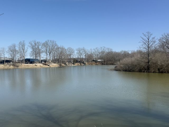 442 Duck Blind Rd, Clifton, TN 38425