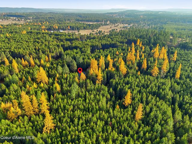 105 E Saltz Ln, Deer Park, WA 99006