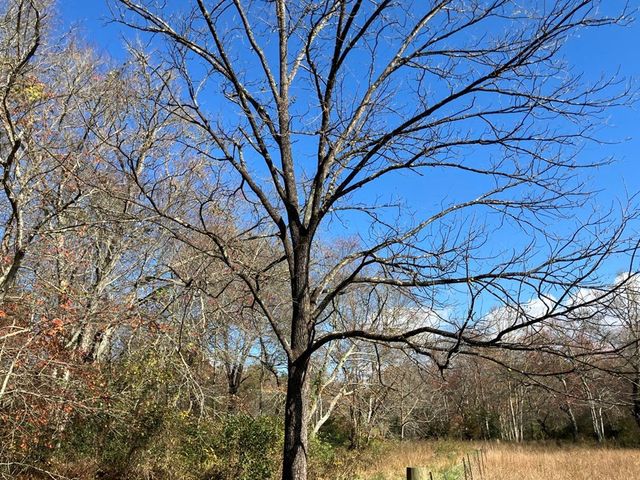 1838 Liberty Road, Murphy, NC 28906