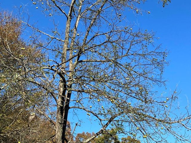 1838 Liberty Road, Murphy, NC 28906