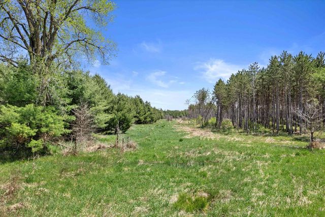 Lot 3 Chicago Avenue, Arkdale, WI 54613