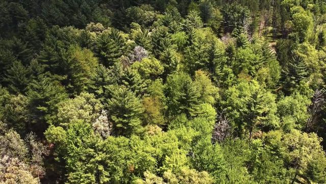 Lot 3 Chicago Avenue, Arkdale, WI 54613