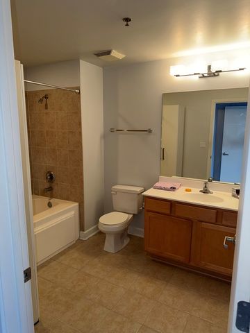 1305 S Michigan Avenue 1612, Chicago, IL 60605