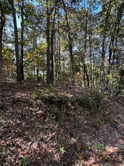 Selkirk Drive, Bella Vista, AR 72715