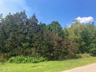00 COUNTY RD 217, Jacksonville, FL 32234