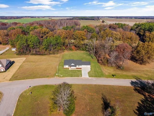 13927 Hatchie Lane, Athens, AL 35611