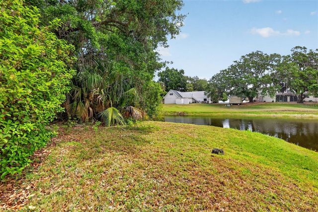 33746 SPRING DRIVE, Leesburg, FL 34788