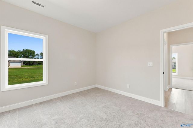 126 Ivy Vine Drive, Toney, AL 35773