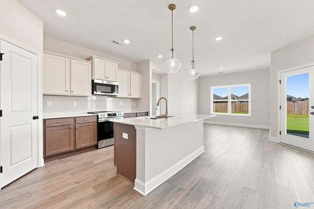 126 Ivy Vine Drive, Toney, AL 35773