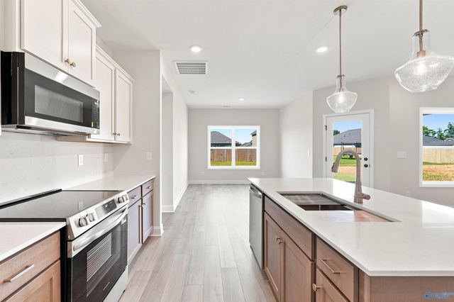126 Ivy Vine Drive, Toney, AL 35773