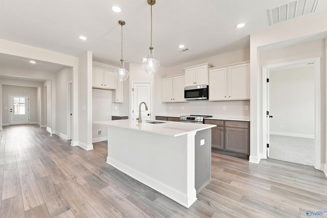 126 Ivy Vine Drive, Toney, AL 35773