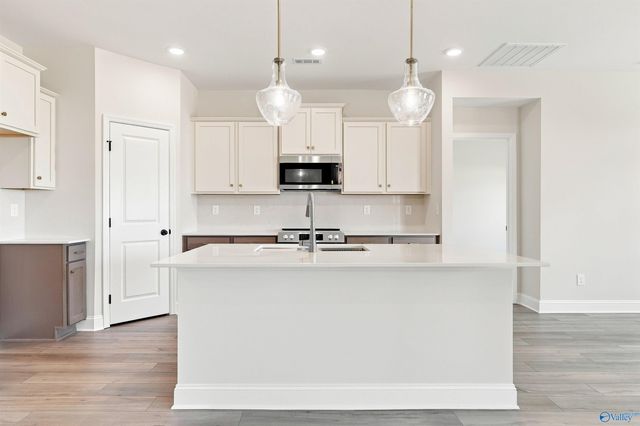 126 Ivy Vine Drive, Toney, AL 35773