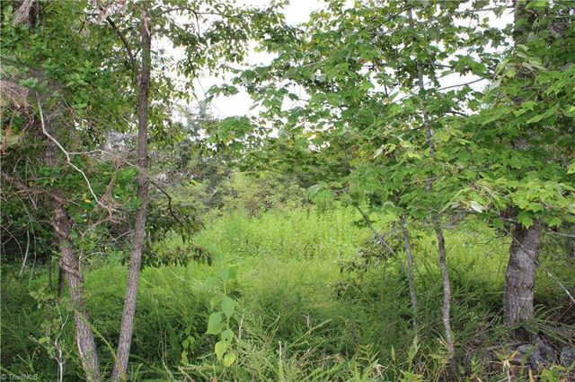 1662 Ralph Joyce Road, Sandy Ridge, NC 27046