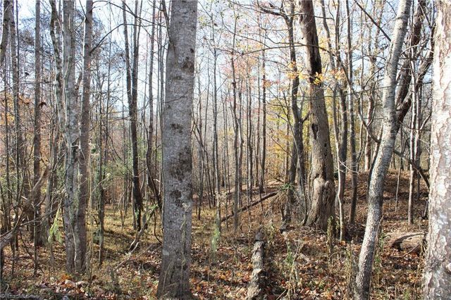 1662 Ralph Joyce Road, Sandy Ridge, NC 27046