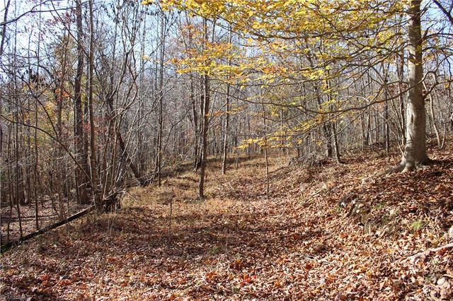 1662 Ralph Joyce Road, Sandy Ridge, NC 27046