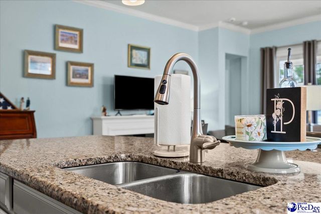 165 Bucky Loop, Murrells Inlet, SC 29576
