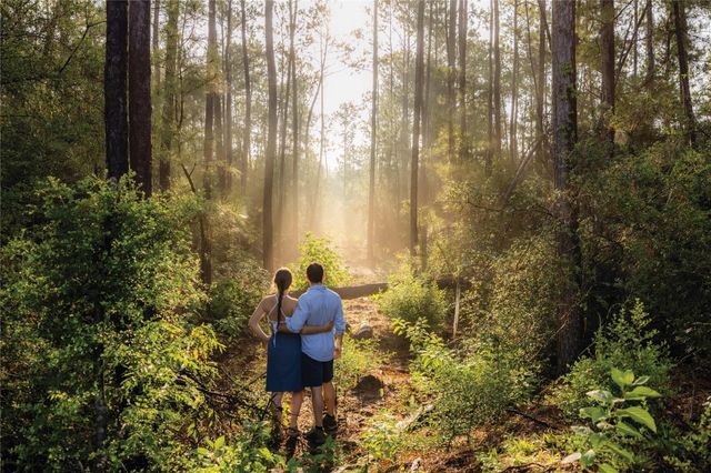 10742 Ruger Road, Willis, TX 77378