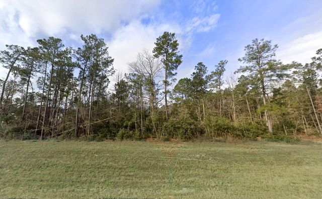 10742 Ruger Road, Willis, TX 77378