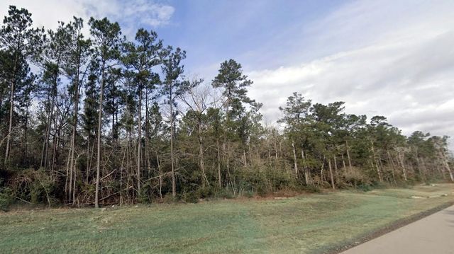 10742 Ruger Road, Willis, TX 77378