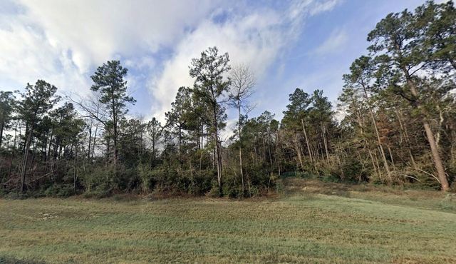 10742 Ruger Road, Willis, TX 77378