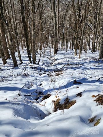 479 El Miner Drive, Mars Hill, NC 28754