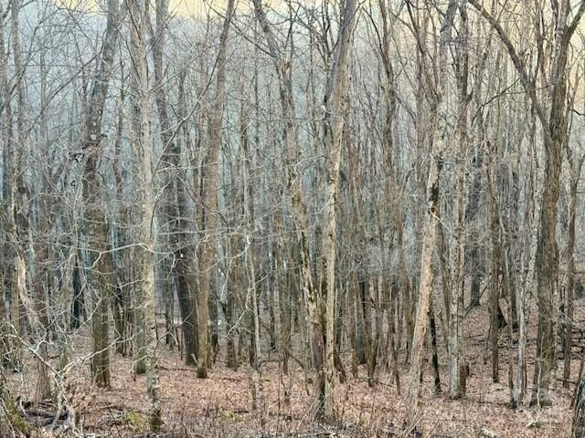 479 El Miner Drive, Mars Hill, NC 28754