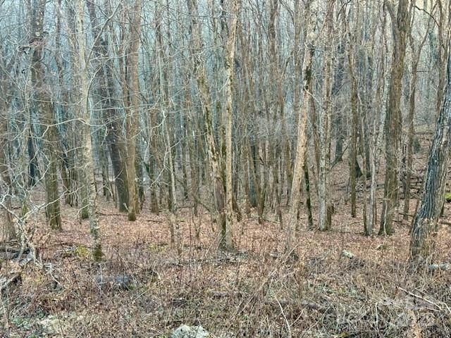 479 El Miner Drive, Mars Hill, NC 28754