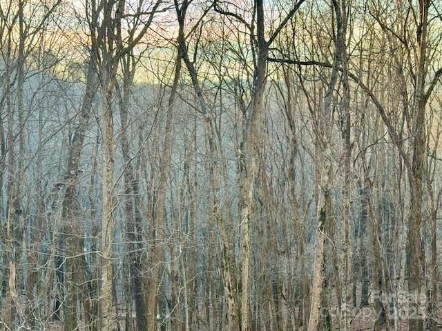 479 El Miner Drive, Mars Hill, NC 28754