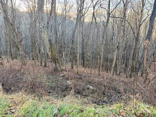 479 El Miner Drive, Mars Hill, NC 28754