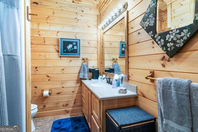 3383 Indian Springs Drive, Hiawassee, GA 30546