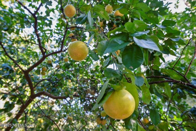 3136 COUNTRY CREEK Lane, St. Augustine, FL 32086