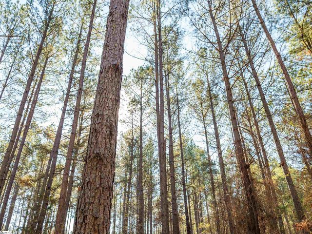 02 Mill Pine Road, Liberty, SC 29657