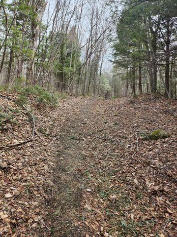 0 Clarks/Woodland Trail 409-4, Alexandria, NH 03220