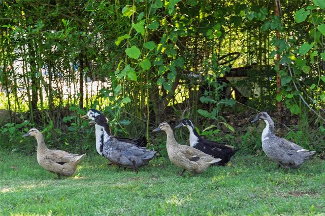 16101 A Street, Oklahoma City, OK 73165