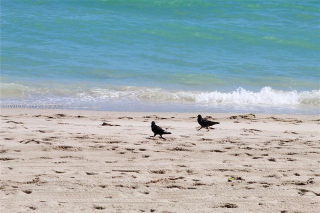 2030 S Ocean Dr 821, Hallandale Beach, FL 33009