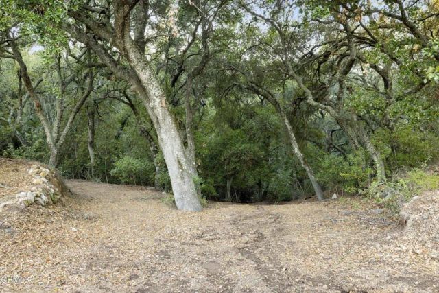 6572 Stagecoach Road, Santa Barbara, CA 93105