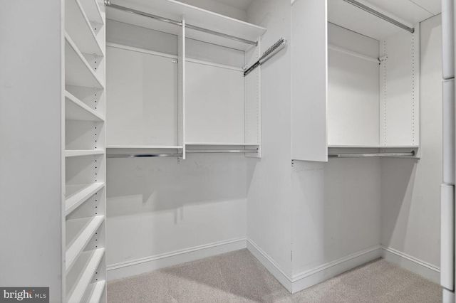 11316 RIDGE MIST TER, Potomac, MD 20854