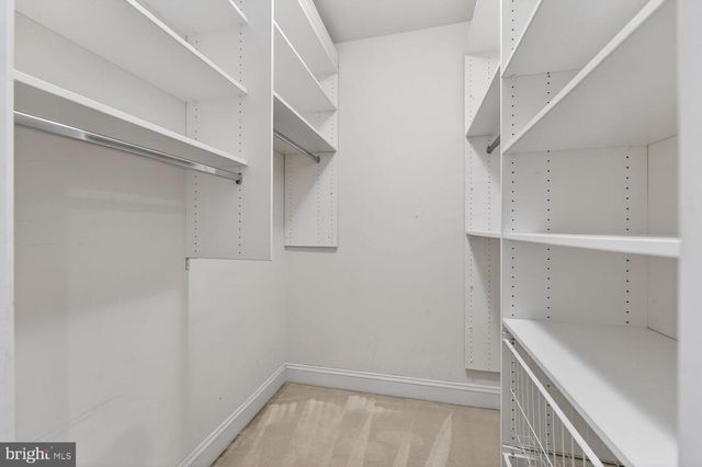 11316 RIDGE MIST TER, Potomac, MD 20854