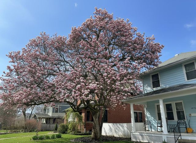 1875 W 1st Avenue, Columbus, OH 43212