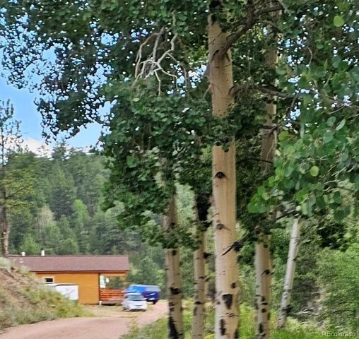 7275 Co-9, Guffey, CO 80820