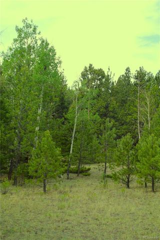 7275 Co-9, Guffey, CO 80820