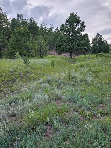 7275 Co-9, Guffey, CO 80820