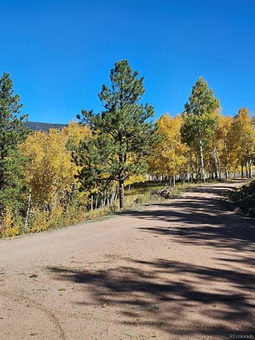 7275 Co-9, Guffey, CO 80820