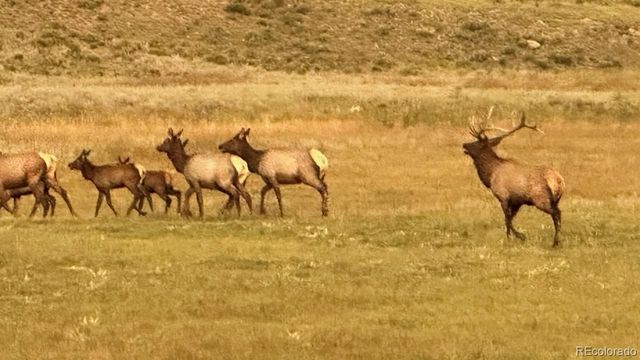 7275 Co-9, Guffey, CO 80820