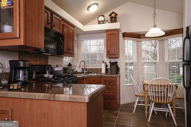 16 Bear Lovers Court, Cleveland, GA 30528